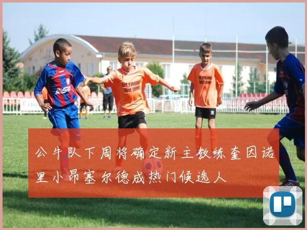 公牛队下周将确定新主教练奎因诺里小昂塞尔德成热门候选人